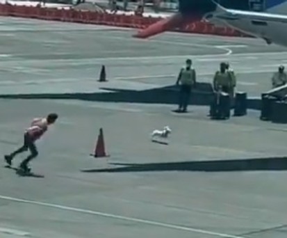 Verfolgungsjagd am Flughafen