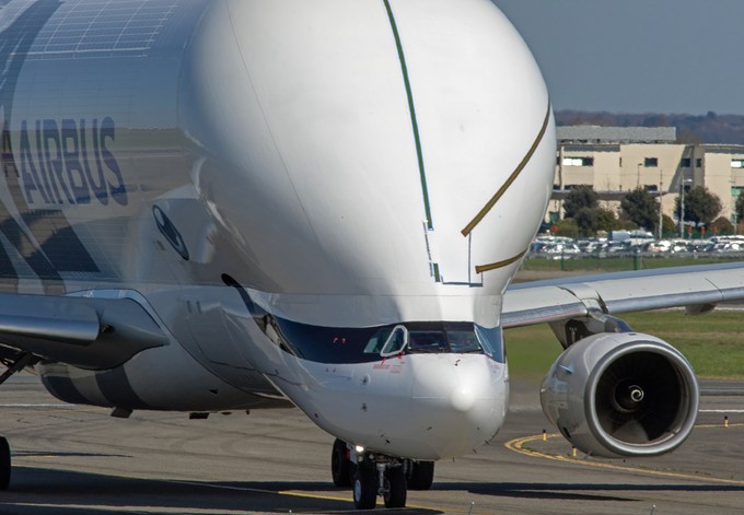 <strong>2. Rang: Airbus Beluga /Beluga XL</strong> - 1593 Stimmen.