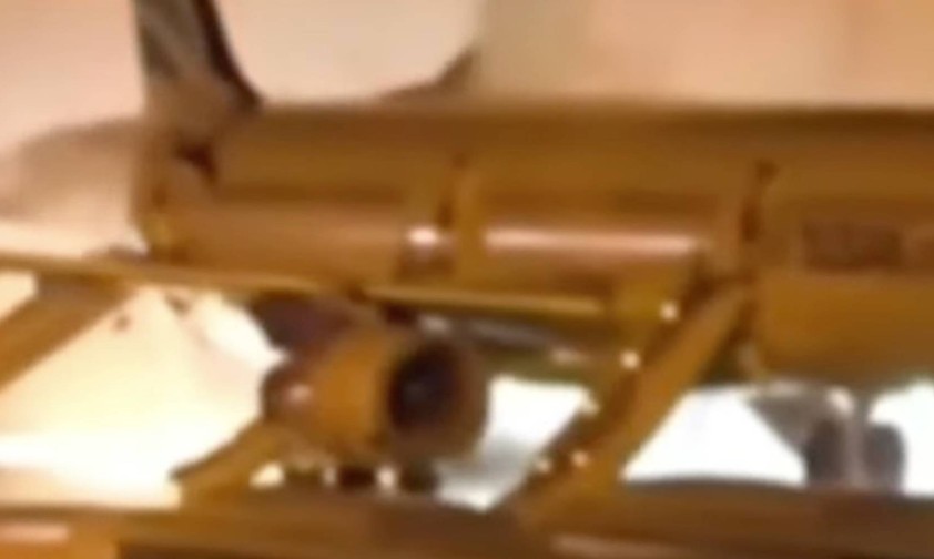 Airbus A321 von Air Busan geht in Flammen auf