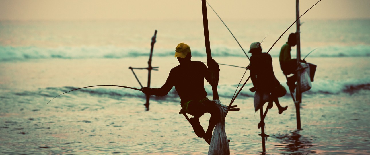 Silhouetten der traditionellen Stelzenfischer in Sri Lanka.