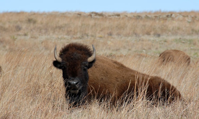 Wo auf der Welt landen Sie im Dezember?