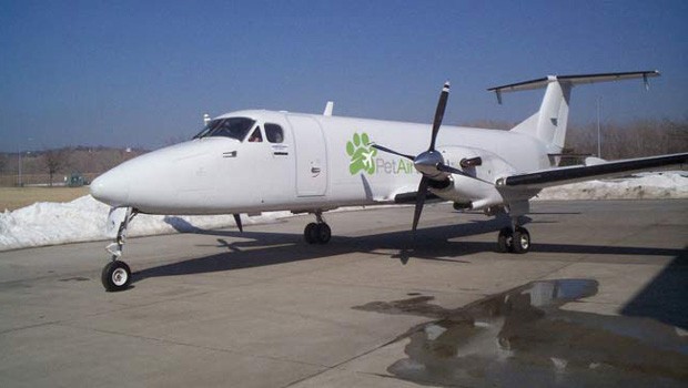 Pet Airways: Bis auf die Crew sind hier keine Zweibeiner an Bord erlaubt.