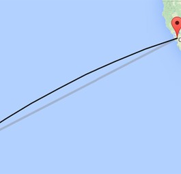 3880 Kilometer: So weit flog der 16-Jährige im Fahrwerk.