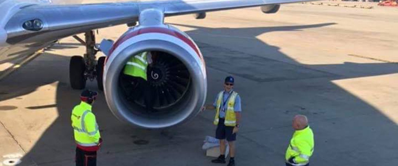 Beim Rundgang um eine Boeing 737 machten Mechaniker von Virgin Australia einen speziellen Fund.