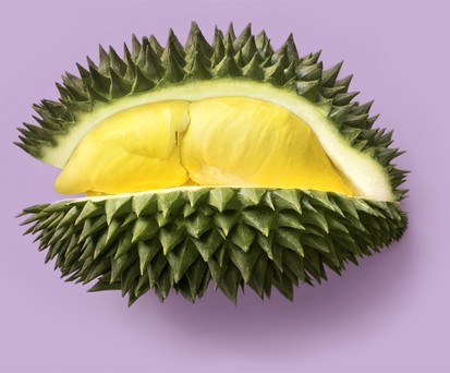 Durian: Schmeckt wie der Himmel, stinkt wie die Hölle.