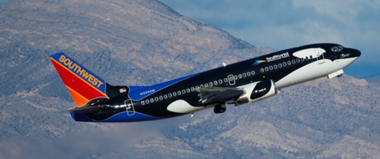 Bereits mehrere Airlines haben dem Druck von Tierschützern nachgegeben und beendeten ihre Zusammenarbeit mit Sea World