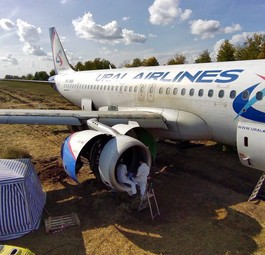 Ural Airlines zerlegt Airbus A320 im Weizenfeld