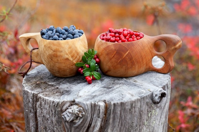 Waldbeeren im Indian Summer
