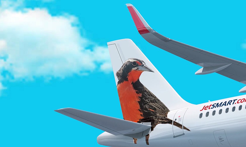 Flieger von Jetsmart: Die Airline dekoriert die Leitwerke mit südamerikanischen Tierarten.