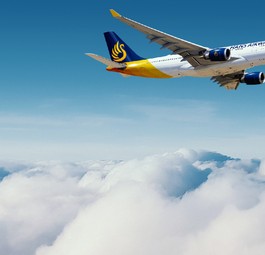 Lackierung am Computer: In Wahrheit war der Jet von Hans Airways weiß.