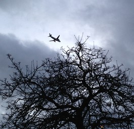 Flugzeug: Nicht immer die dreckigste Alternative.