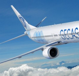 Boeing 737 Max in den Farben von Gecas: So werden die Flieger nie herumfliegen, denn sie werden von Gecas weitervermietet.