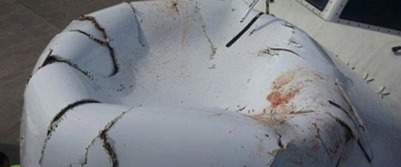 Blut- und Federreste kann man auf der ramponierten Flugzeugnase noch erkennen.