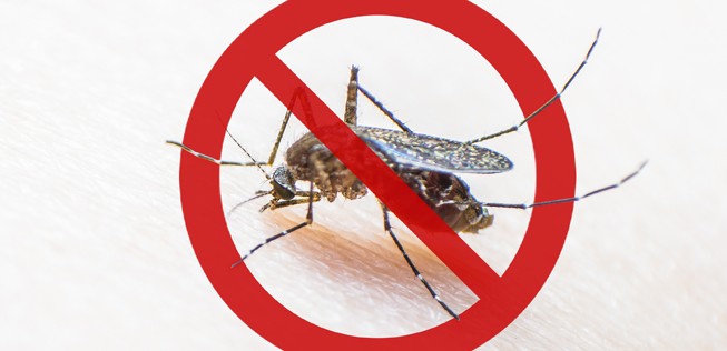 Insekten unerwünscht: Die britische Regierung ordnet an, Flieger aus Risikogebieten behandeln zu lassen.