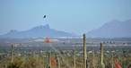 Pinal Air Park in der Mojavewüste: Wühltisch für Frachtairlines.