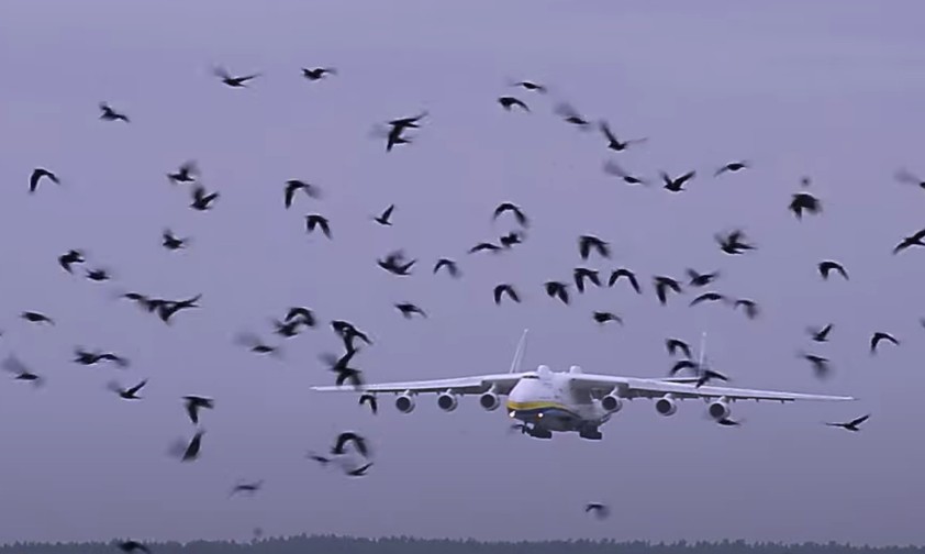 Antonov An-225 kehrt nach verlängerter Reise heim