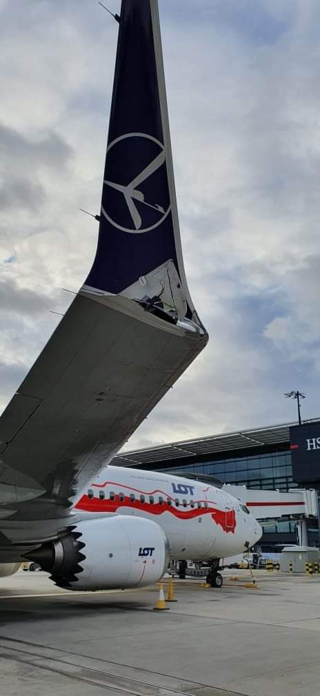 Die Folge: Das Winglet wurde stark beschädigt.
