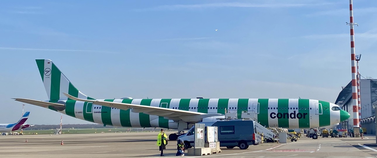 Airbus A330-900 von Condor: Die Fluglinie ist zufrieden damit, wie das Geschäft läuft.