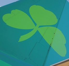 Heck von Aer Lingus: War auch schon in Indien zu sehen.