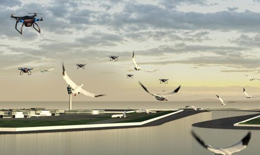 Drohnen am Flughafen: Sie sollen helfen, Vogelschlag zu verhindern.