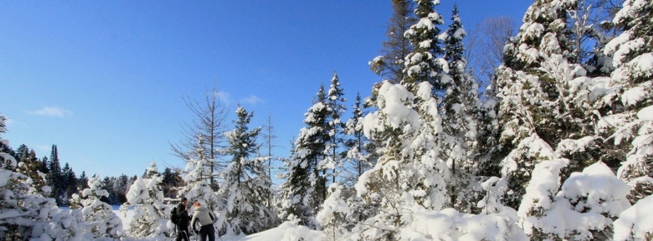 Langlaufparadies Algonquin Nationalpark