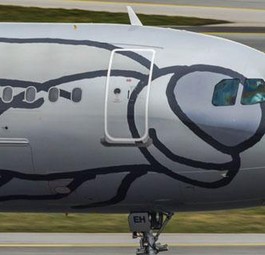 Flieger von Niki: Plötzlich begehrt.