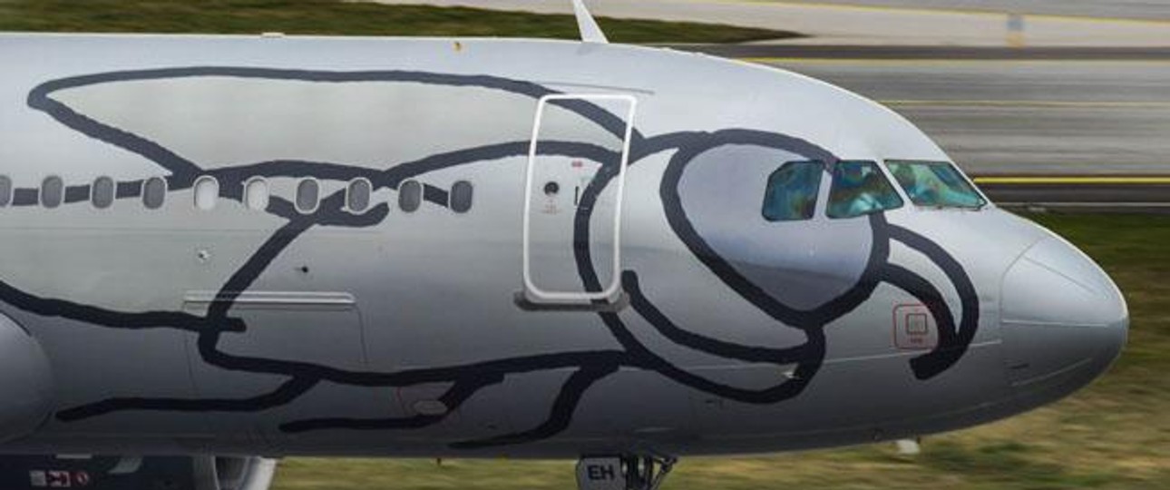 Flieger von Niki: Plötzlich begehrt.