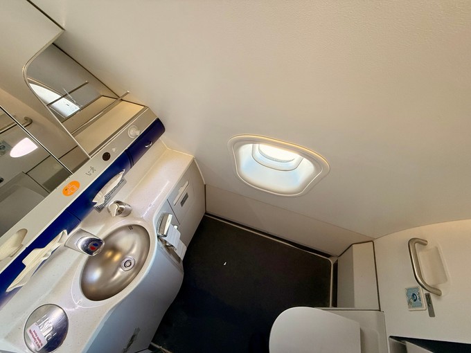 Ganz schön viel Platz - und ein Fenster: Das Rollstuhl-WC in der Business Class.