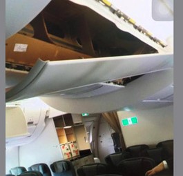 Passagier verwechselt Verkleidung mit Gepäckfach