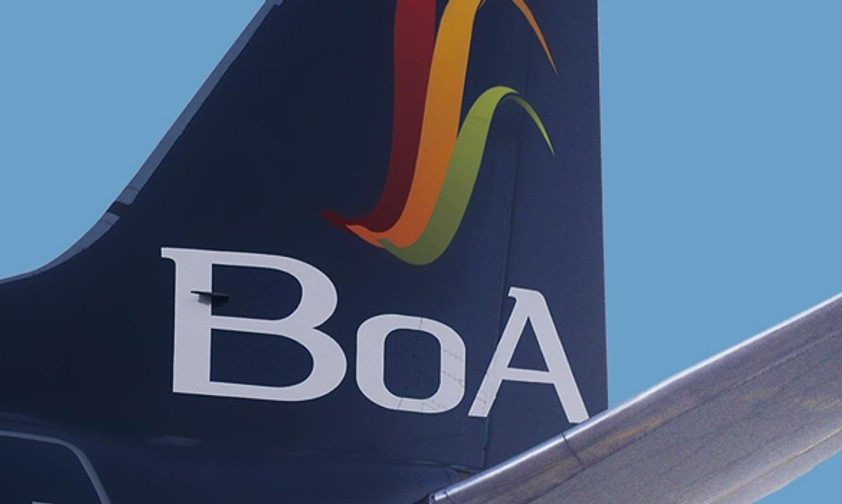 Leitwerk mit Logo von Boliviana: Bayern im Visier.