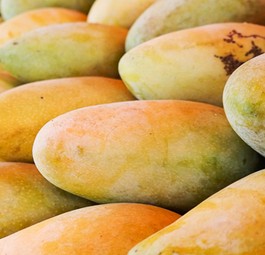 Frische Mangos: Lösten die Früchte einen Alarm aus?