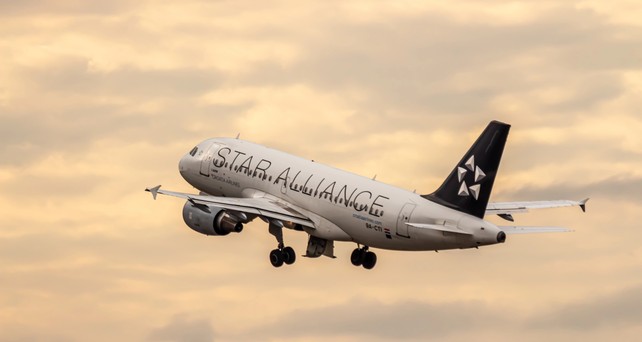 Airbus a310 von Croatia Airlines in Star-Alliance-Lackierung: In diesem Sommer bekommt der erste Airbus A220 die Sonderlackierung.