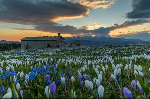 Frühling im Trentino