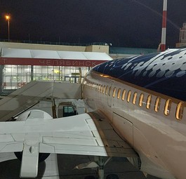In dieser Boeing 737-500 reisten die Tiere und die menschlichen Begleiter.