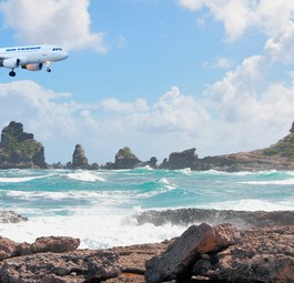 Airbus A320 von Air France über Guadeloupe: Eigenes Netz in der Karibik.