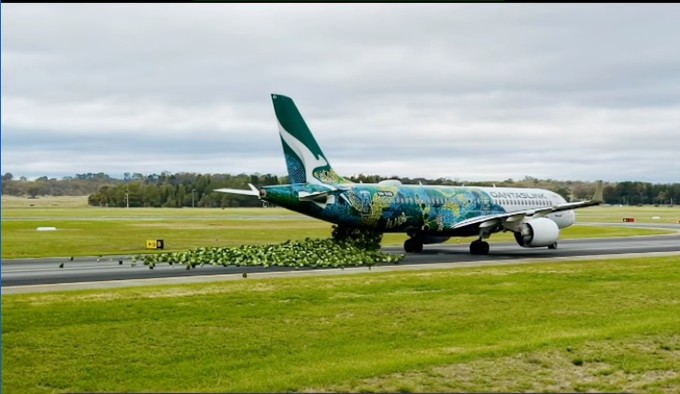 Der Flughafen Canberra teilt mit, dass die Piste am Flughafen gesperrt ist. Der Grund: Der Airbus A220 mit der speziellen grünen Flying-Art-Series-Lackierung von Qantas hat nach der Landung tonnenweise Brokkoli auf der Piste verloren. Bei Instagram existiert ein spezieller Clip zu dem Ereignis.