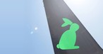 Logo von Yourways: Die Fluglinie fliegt mit einer Quest Kodiak.