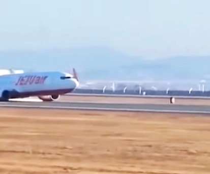 Der Flughafen Muan hat ein Vogelschlag-Problem