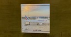 Blick auf Air France-Flugzeuge am Flughafen Paris-Charles-de-Gaulle: Paris hat den höchsten Markenwert aller Flughäfen weltweit. 