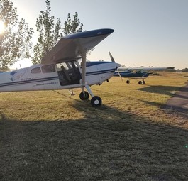 Zwei Flugzeuge der Flugschule Flying Parrot: Ein Fluglehrer der Flugschule hat am 4. Juli mutmaßlich Selbstmord begangen.