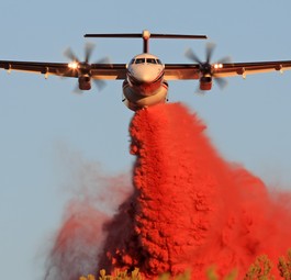Dash als Löschflugzeug: Der Flieger soll in Amerika Waldbrände bekämpfen.