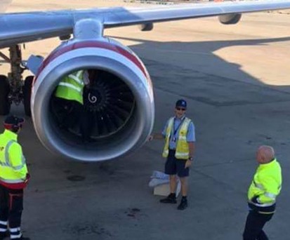 Beim Rundgang um eine Boeing 737 machten Mechaniker von Virgin Australia einen speziellen Fund.