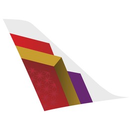 Tata setzt sich gegen Spicejet durch und kauft Air India