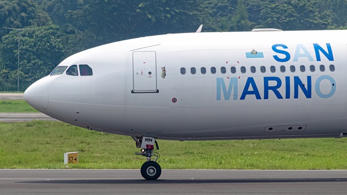 Der A330-300 zeigt die Familienkatze der Gründerfamilie mehrfach.