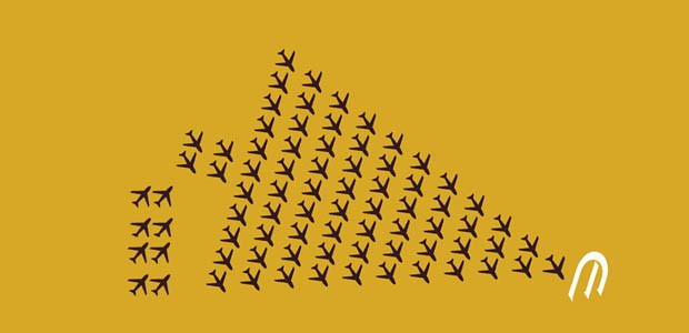 Etihad: Darwin war der erste Baum der Etihad-Regional-Strategie.