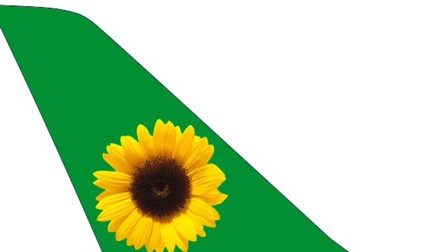 ticker sunflower hidden disability