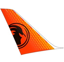 TAAG Angola Airlines hat zweiten Airbus A220 in die Flotte aufgenommen