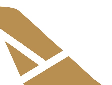 ticker cargo wings
