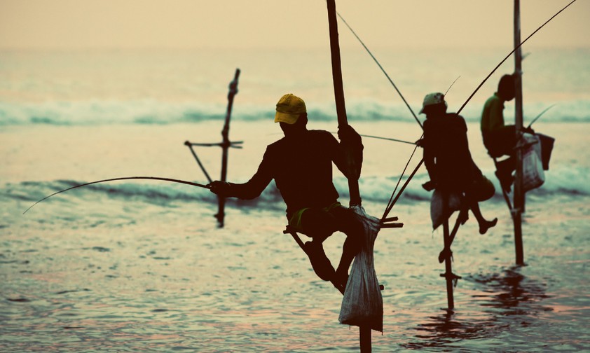Silhouetten der traditionellen Stelzenfischer in Sri Lanka.