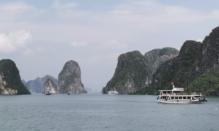 Mit tropischem Wald bedeckte Kalkberge in der Halong Bucht.